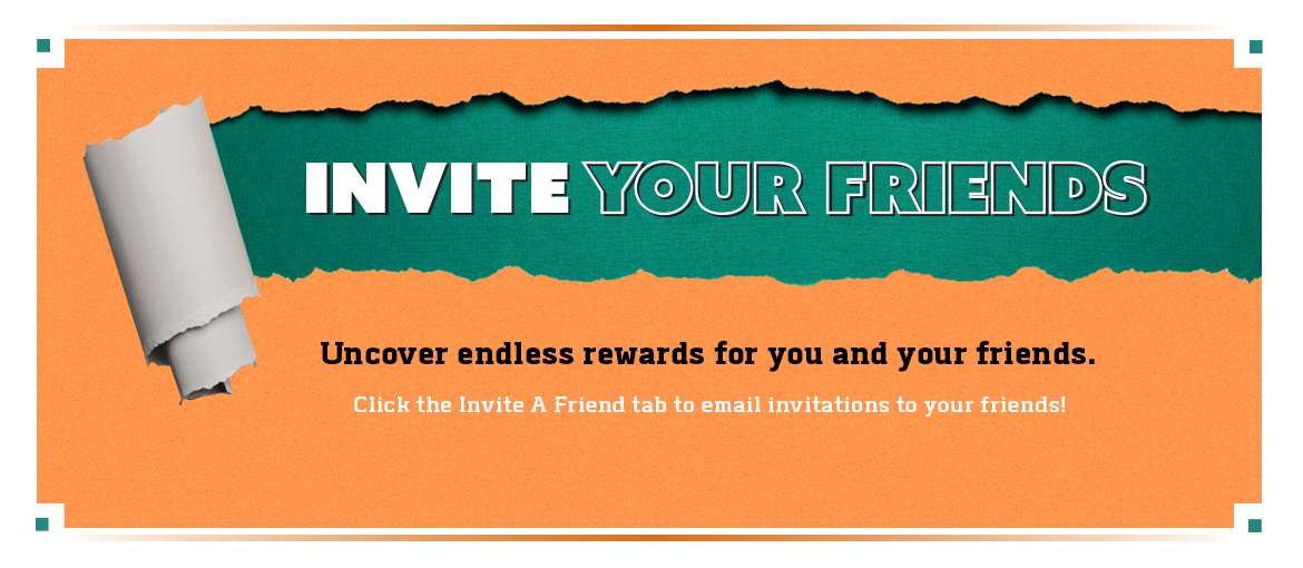 ICS Campaign ICS Campaign